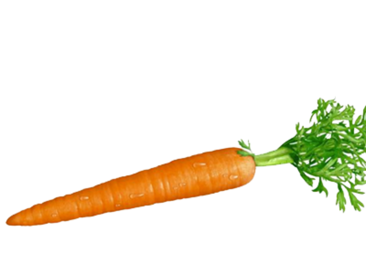 And root food png. Clipart vegetables carrot stick