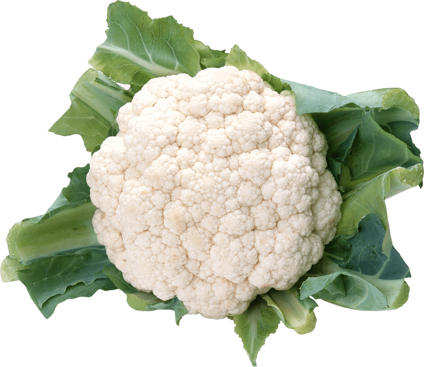 clipart vegetables cauliflower