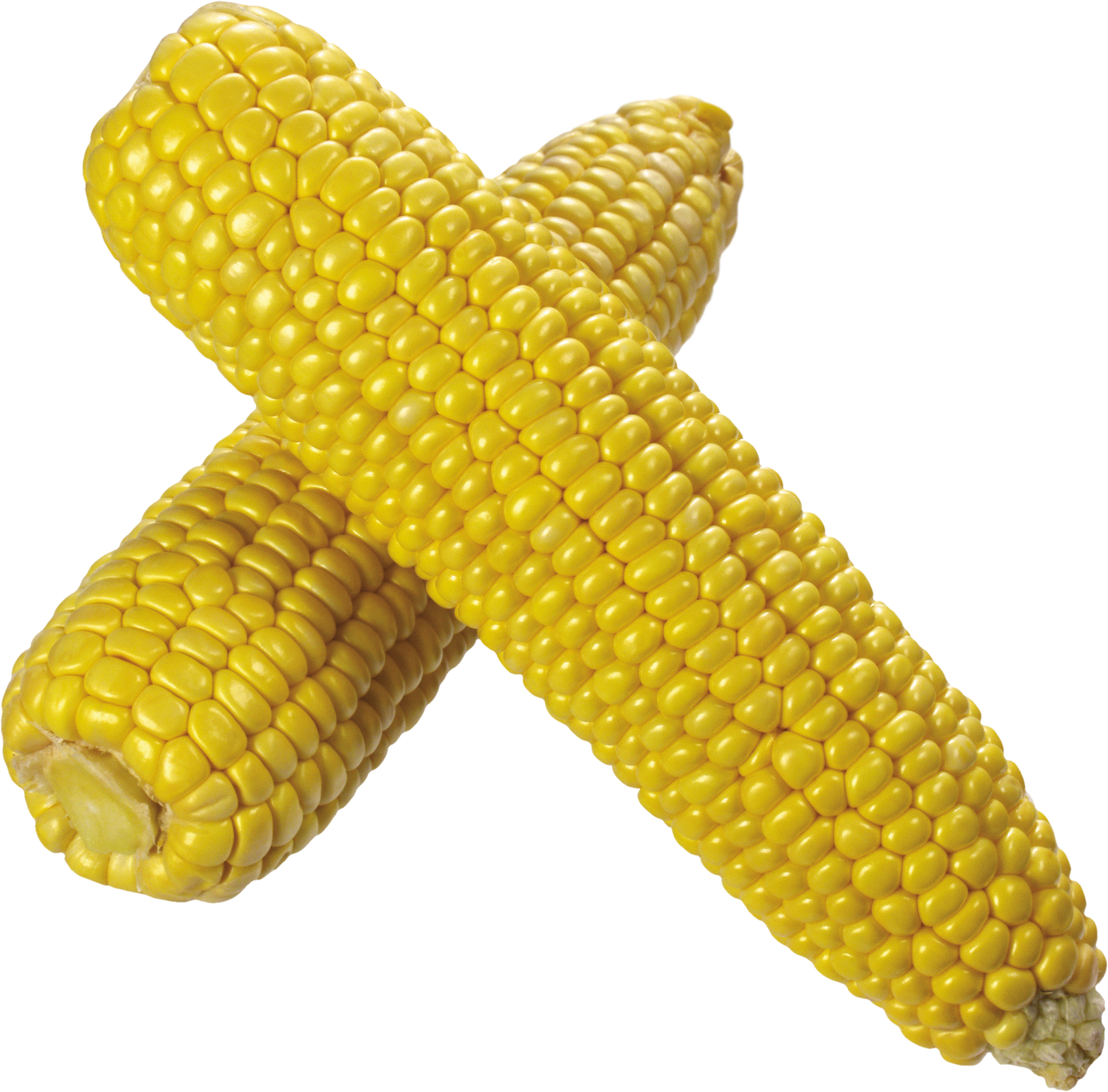 Clipart vegetables corn. Icon png web icons