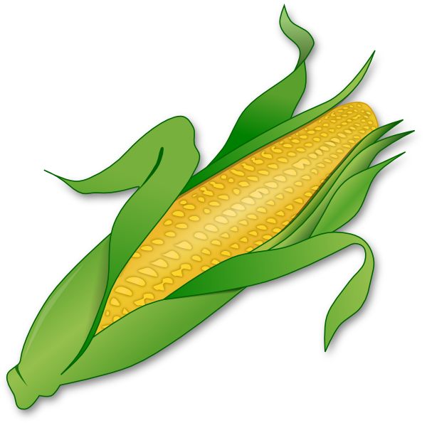 Clip art at clker. Clipart vegetables corn