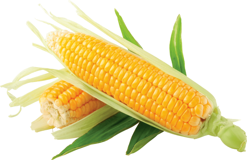 Png free images toppng. Clipart vegetables corn