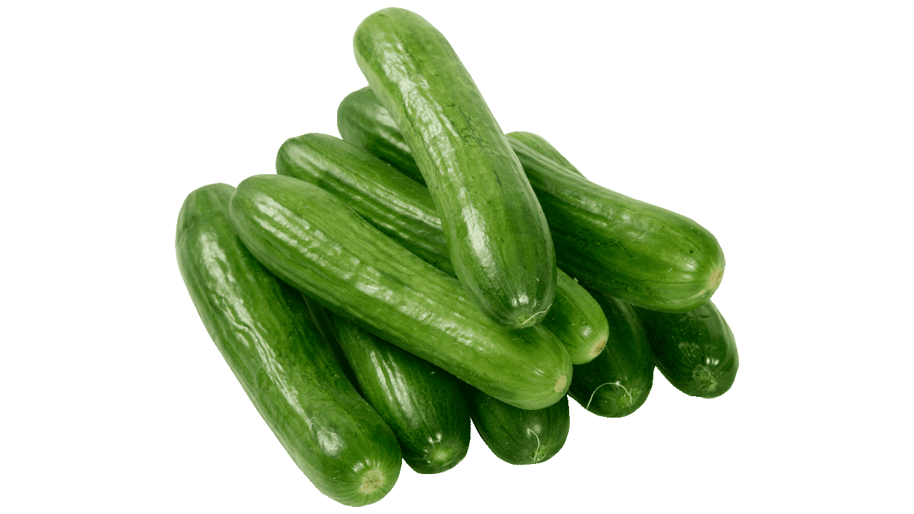 cucumber clipart clip art