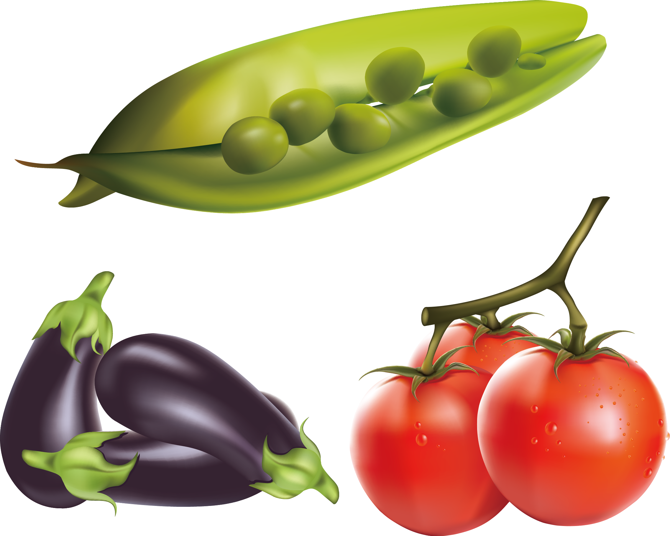 Eggplant tomato clip art. Vegetables clipart fresh vegetable