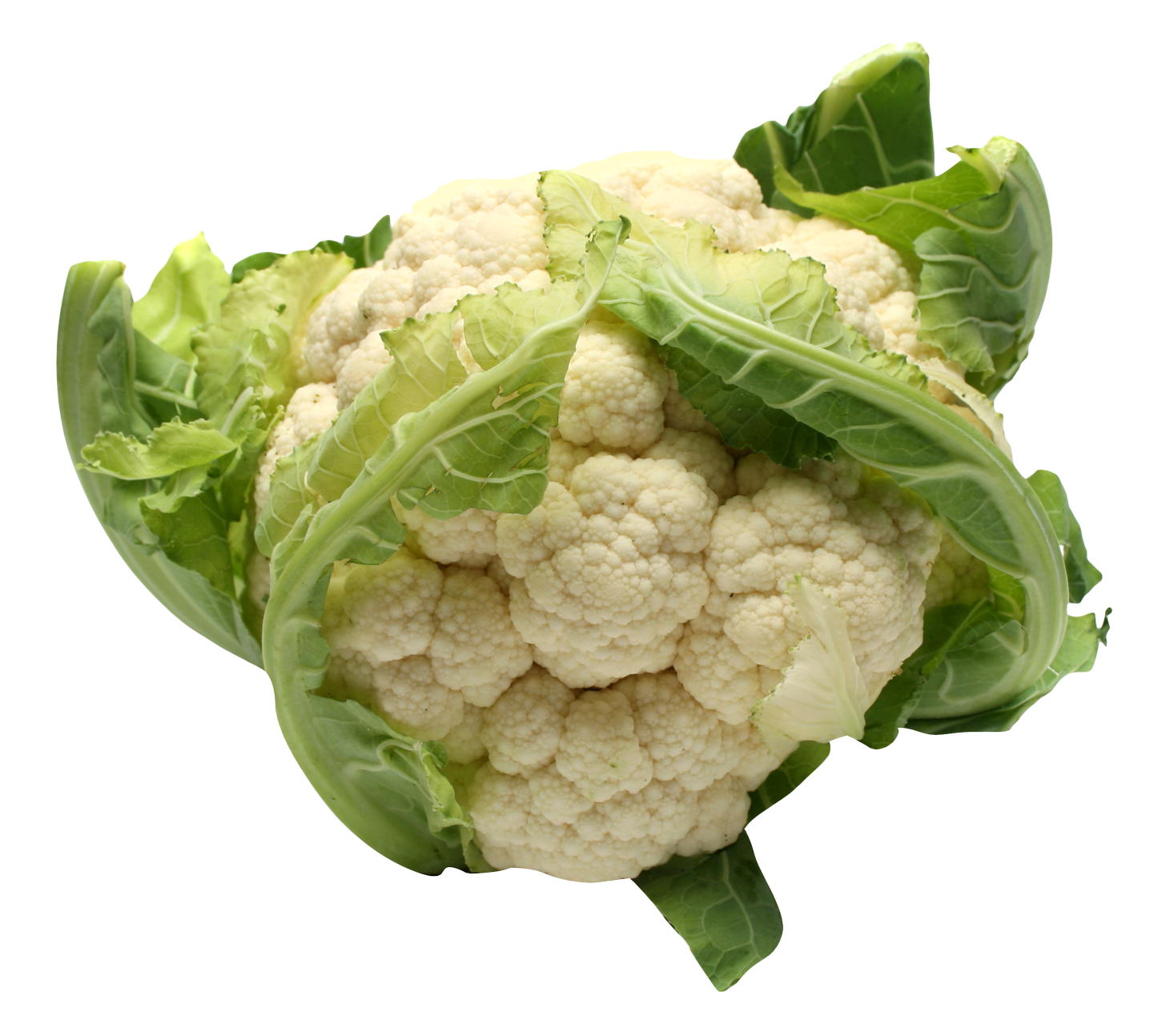Free png images download. Vegetables clipart cabbage
