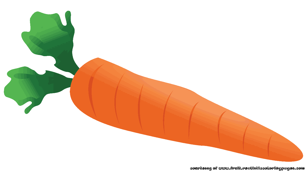 Fruits carrot