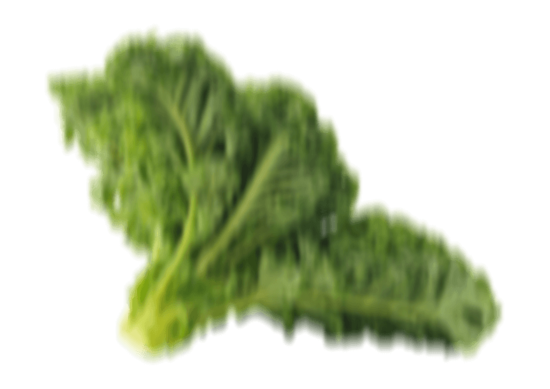 clipart vegetables kale