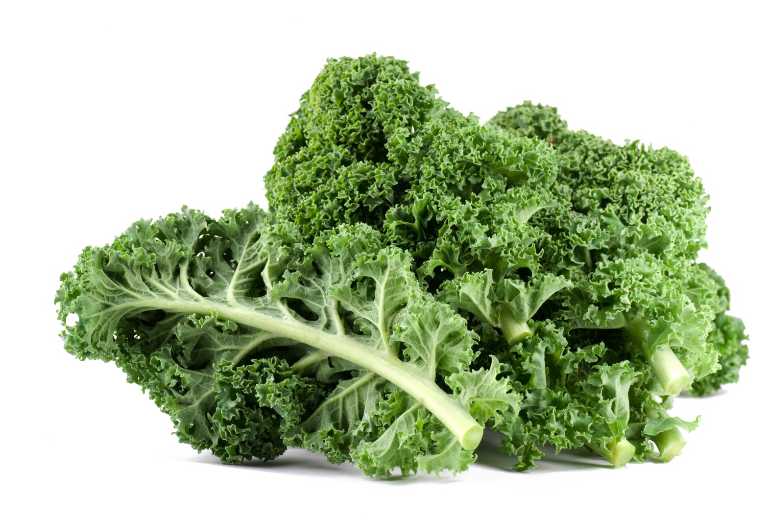 vegetables clipart kale