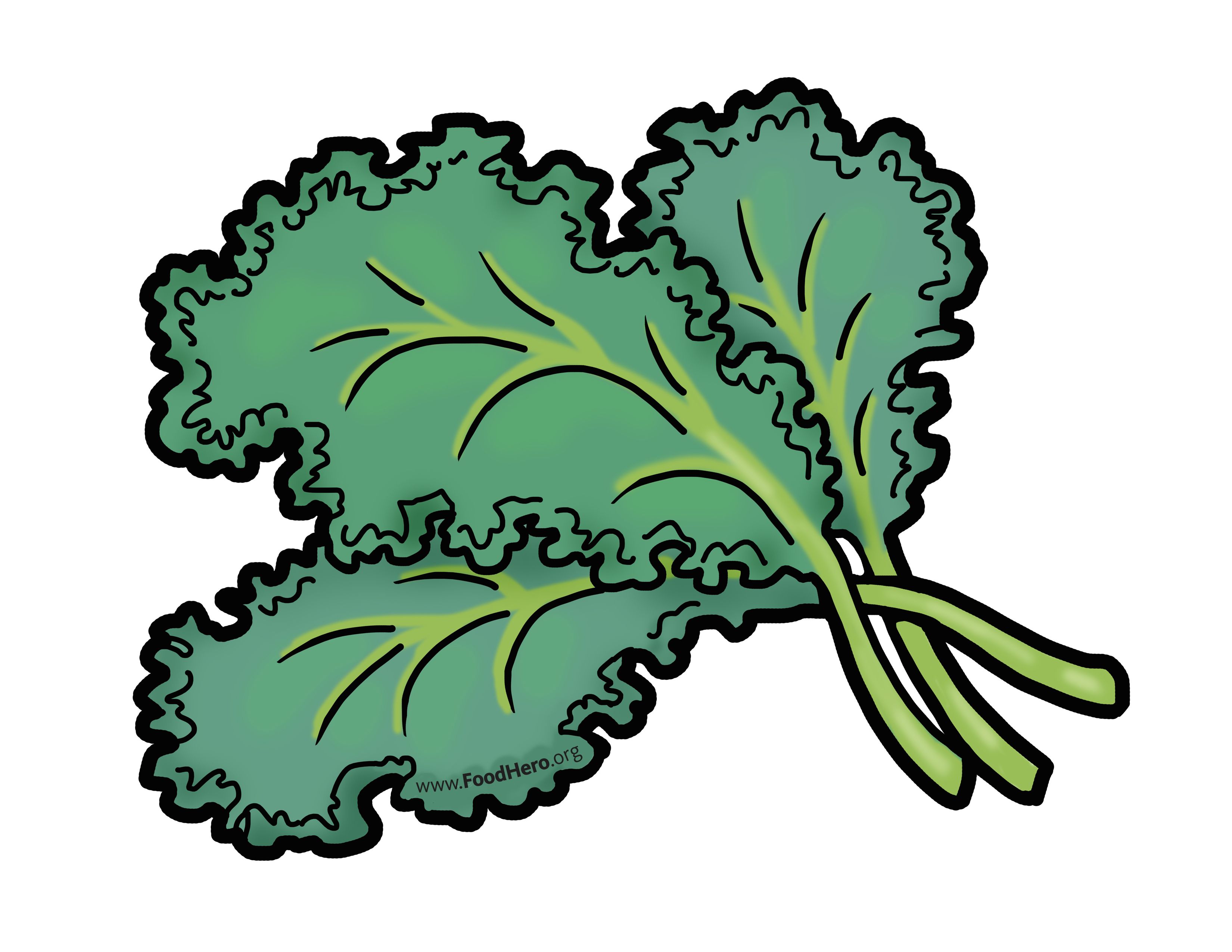 clipart vegetables kale