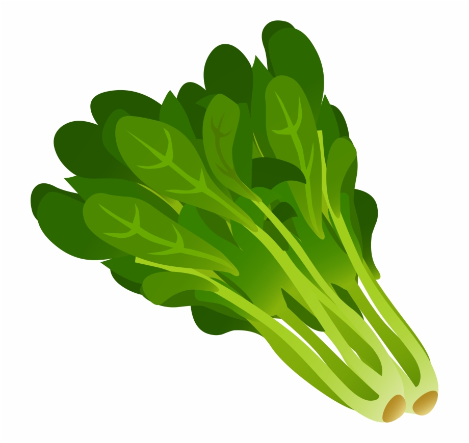 vegetables clipart leafy vegetable
