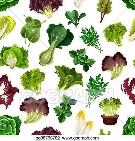 Vector stock salad greens. Lettuce clipart leafy vegetable