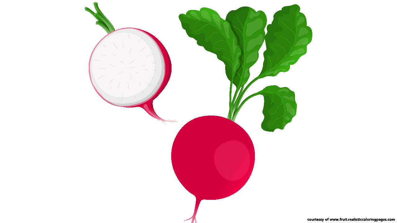 Clipart vegetables name.  downloadable astonishing beetroot