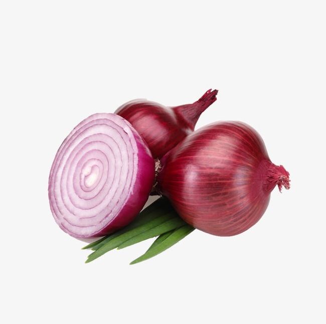 onion clipart onion vegetable