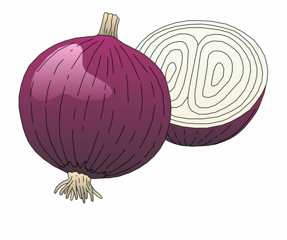 onion clipart onion vegetable