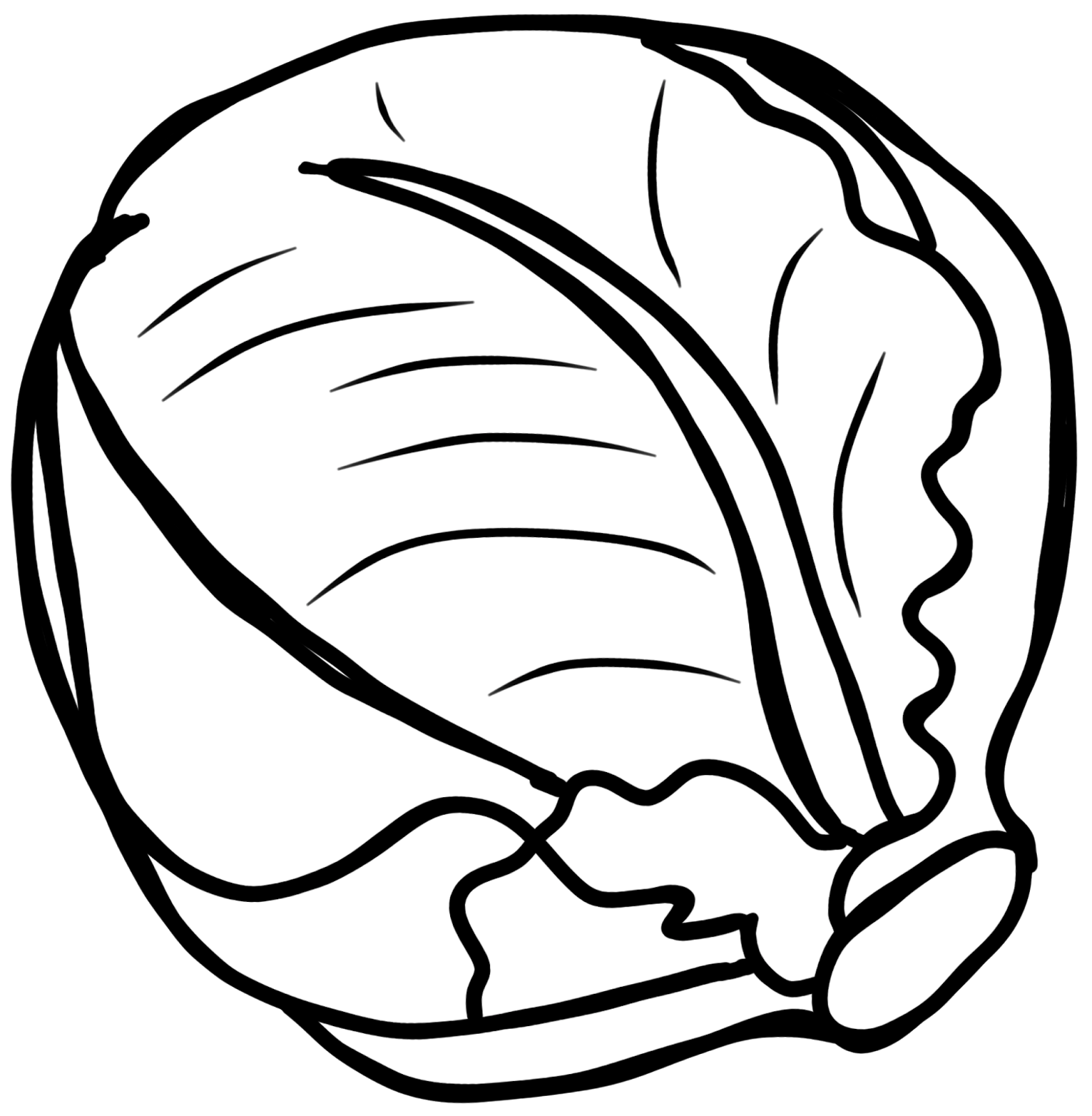 Cabbage black and white. Onion clipart vegetablesblack