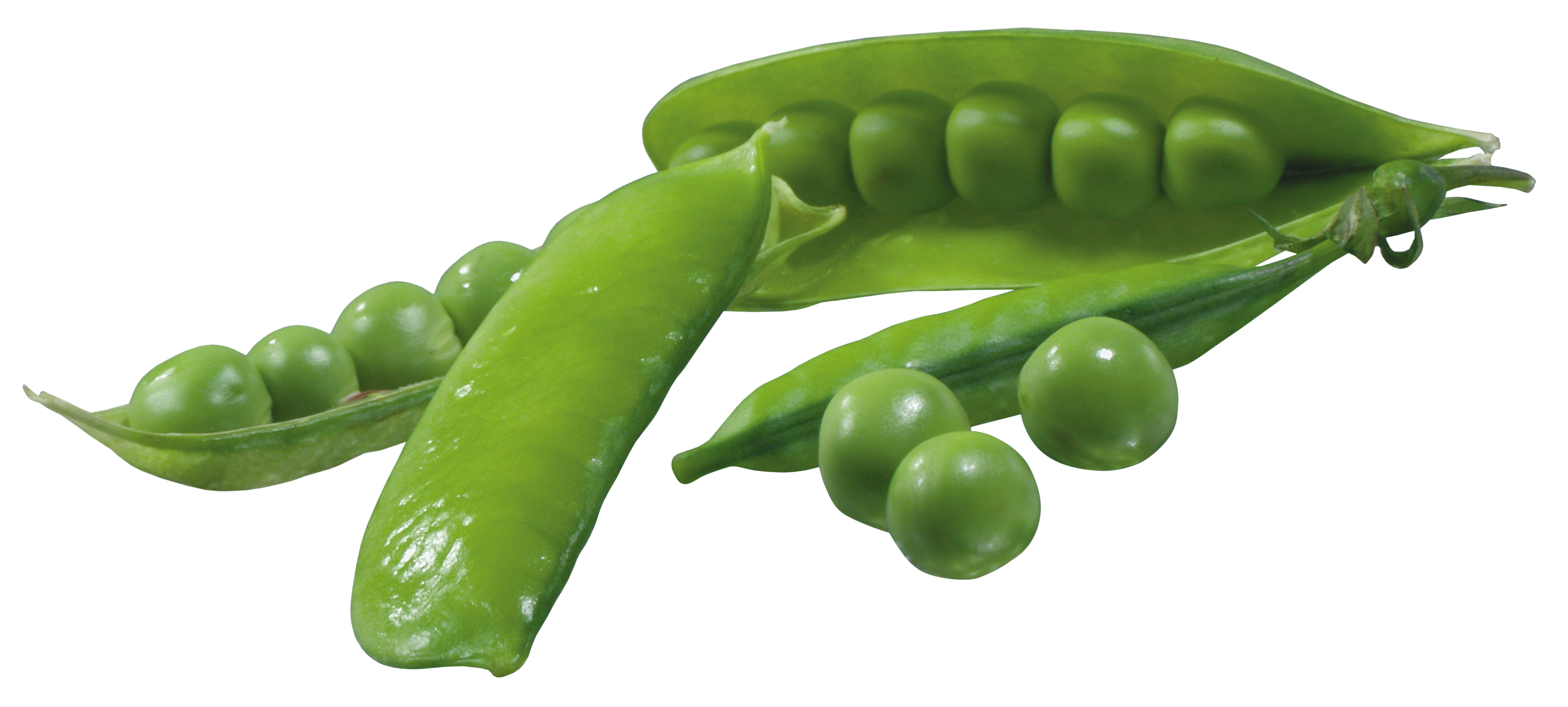 Peas clipart winter. Pea pods png picture