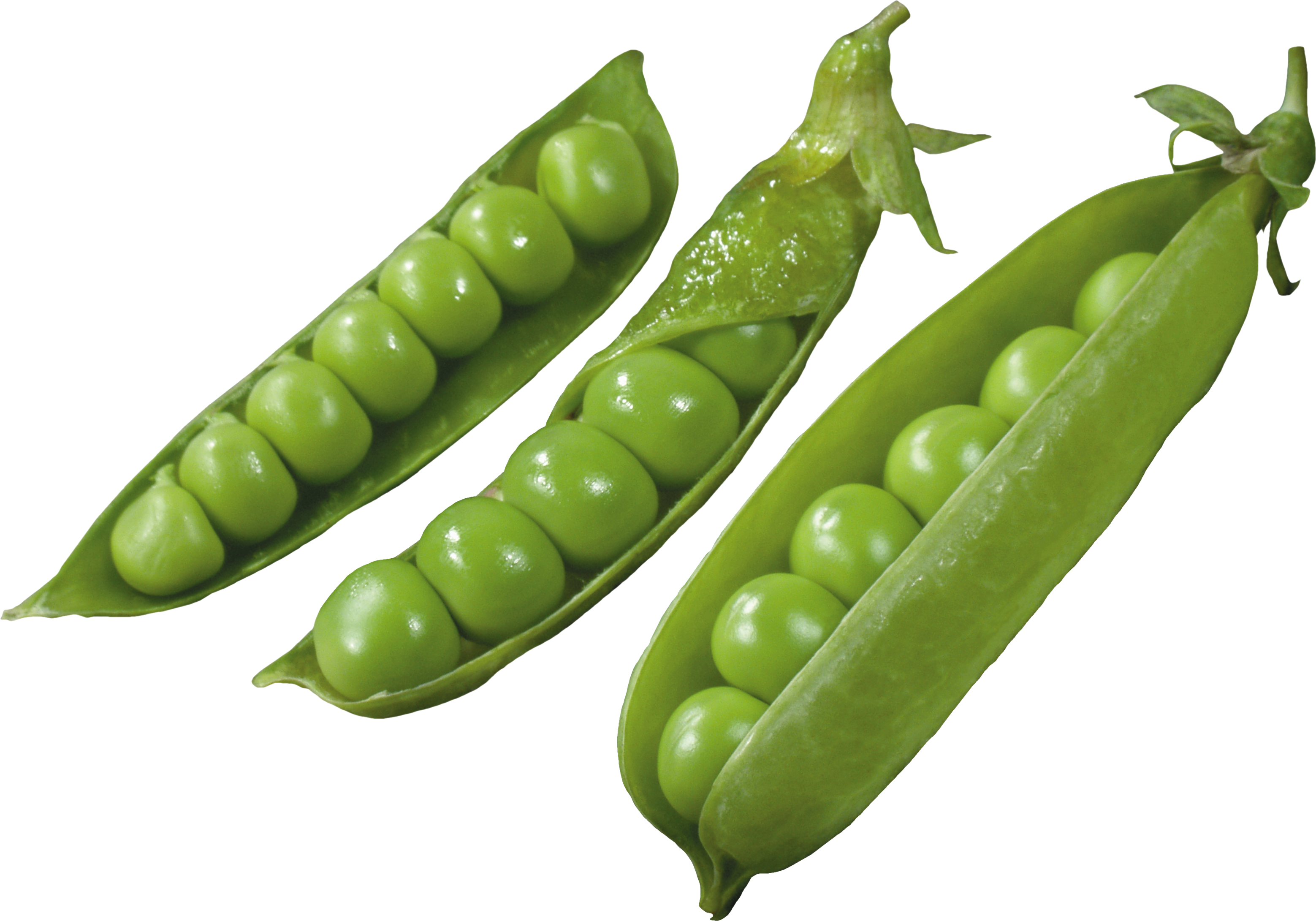 Png . Clipart vegetables pea