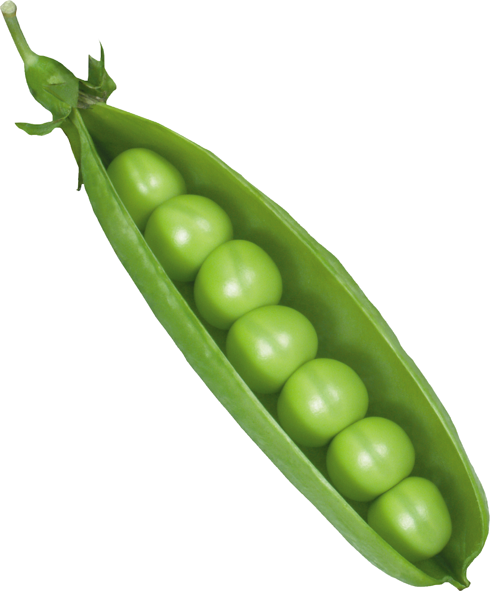 Pea icon web icons. Peas clipart bataw