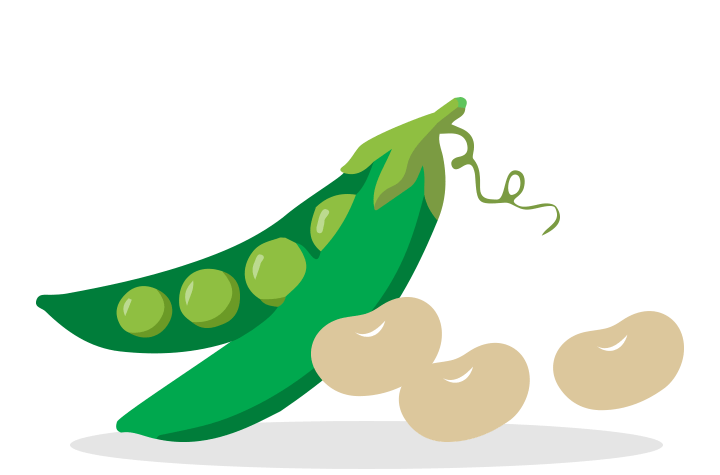Fruits and veggies beans. Clipart vegetables pea