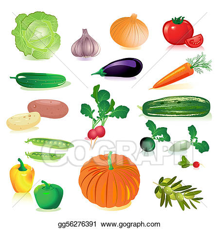 clipart vegetables raw vegetable