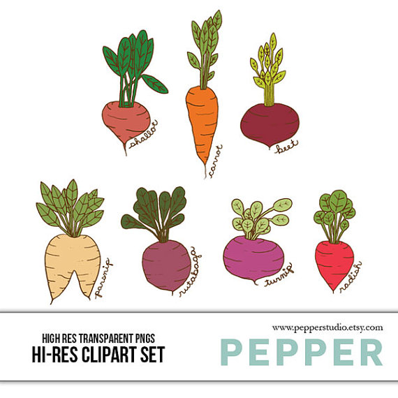 clipart vegetables root crop