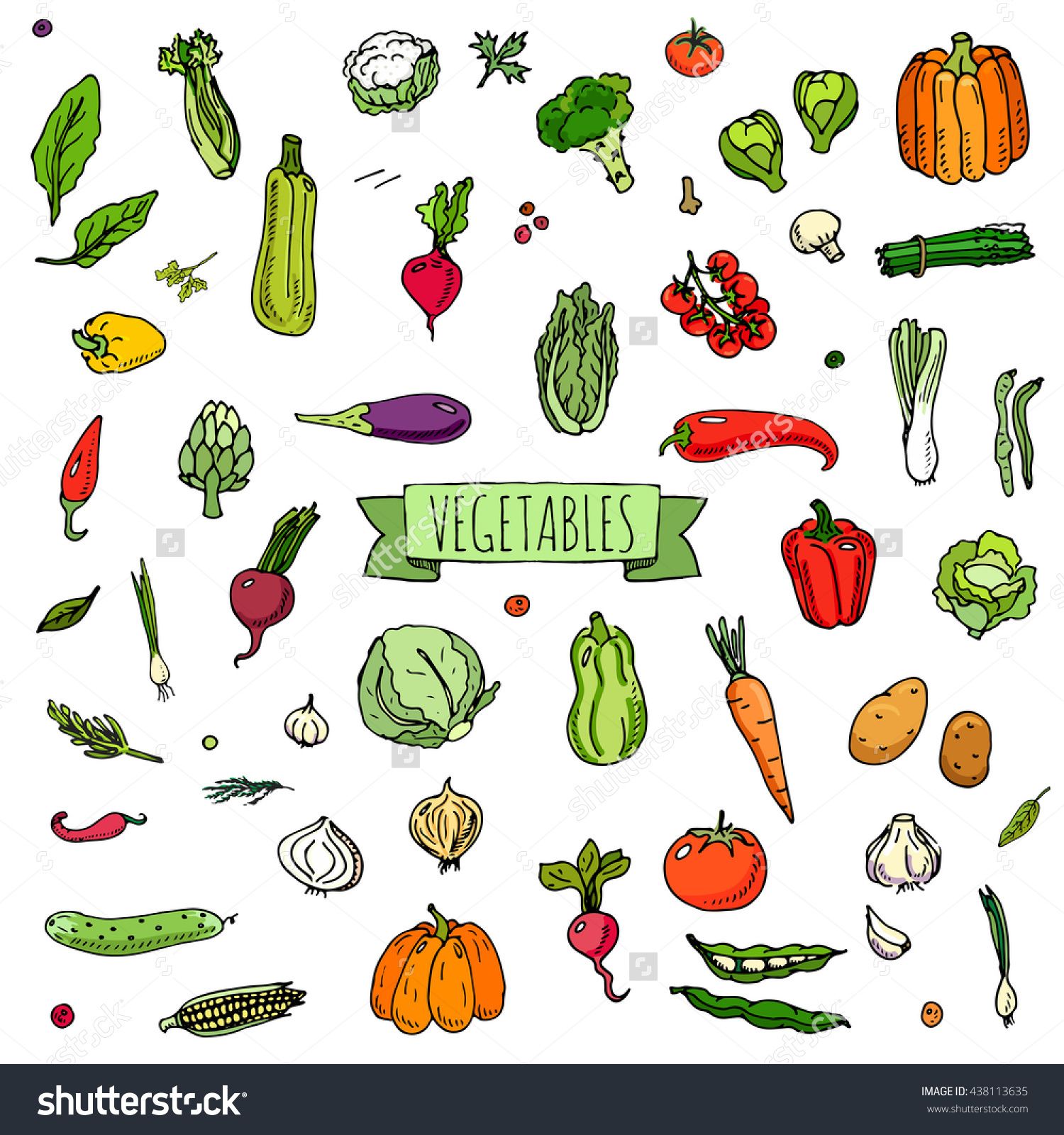 Clipart vegetables seasonal food. Hand drawn doodle icons