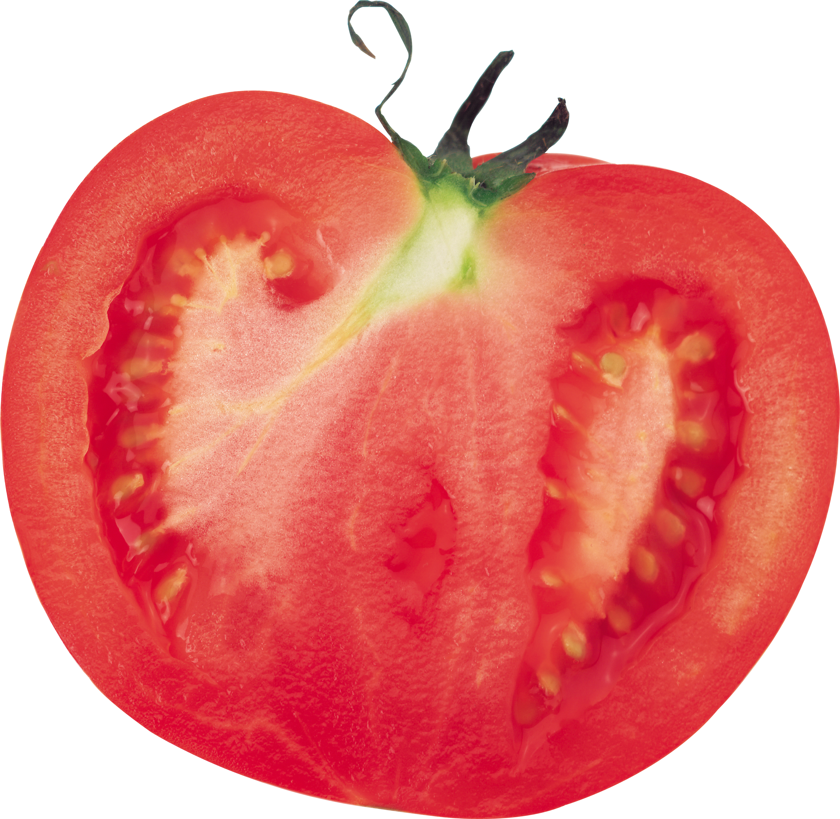 Clipart vegetables tomato. Png 