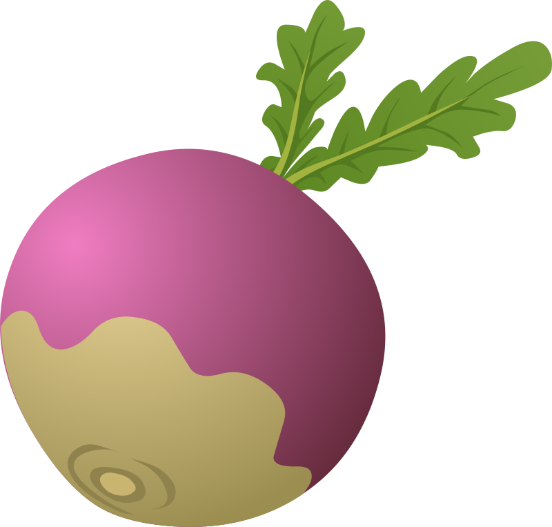 Food medium image png. Clipart vegetables turnip
