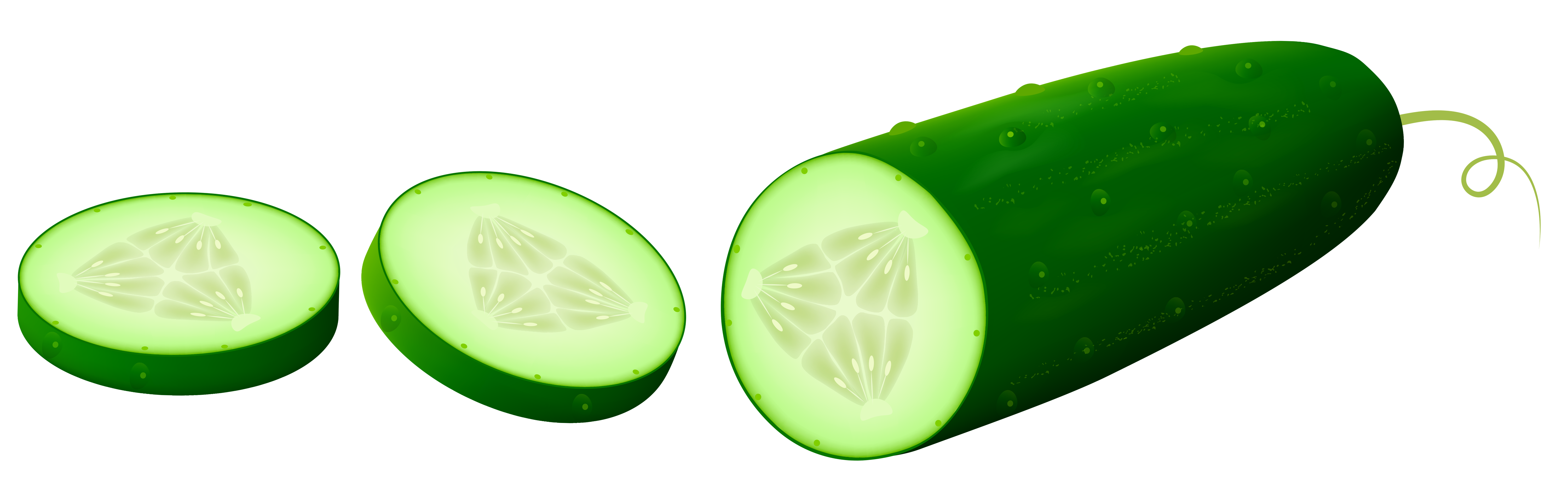 Transparent sliced cucamber png. Cucumber clipart field