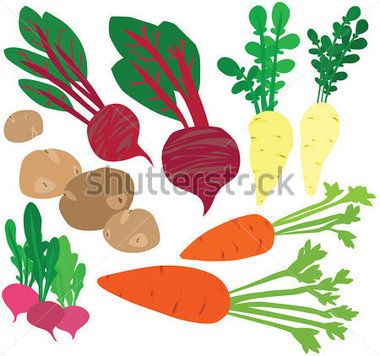 Clipart vegetables winter. Stylish healthy vegetable set
