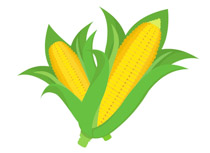 Free vegetables clip art. Corn clipart