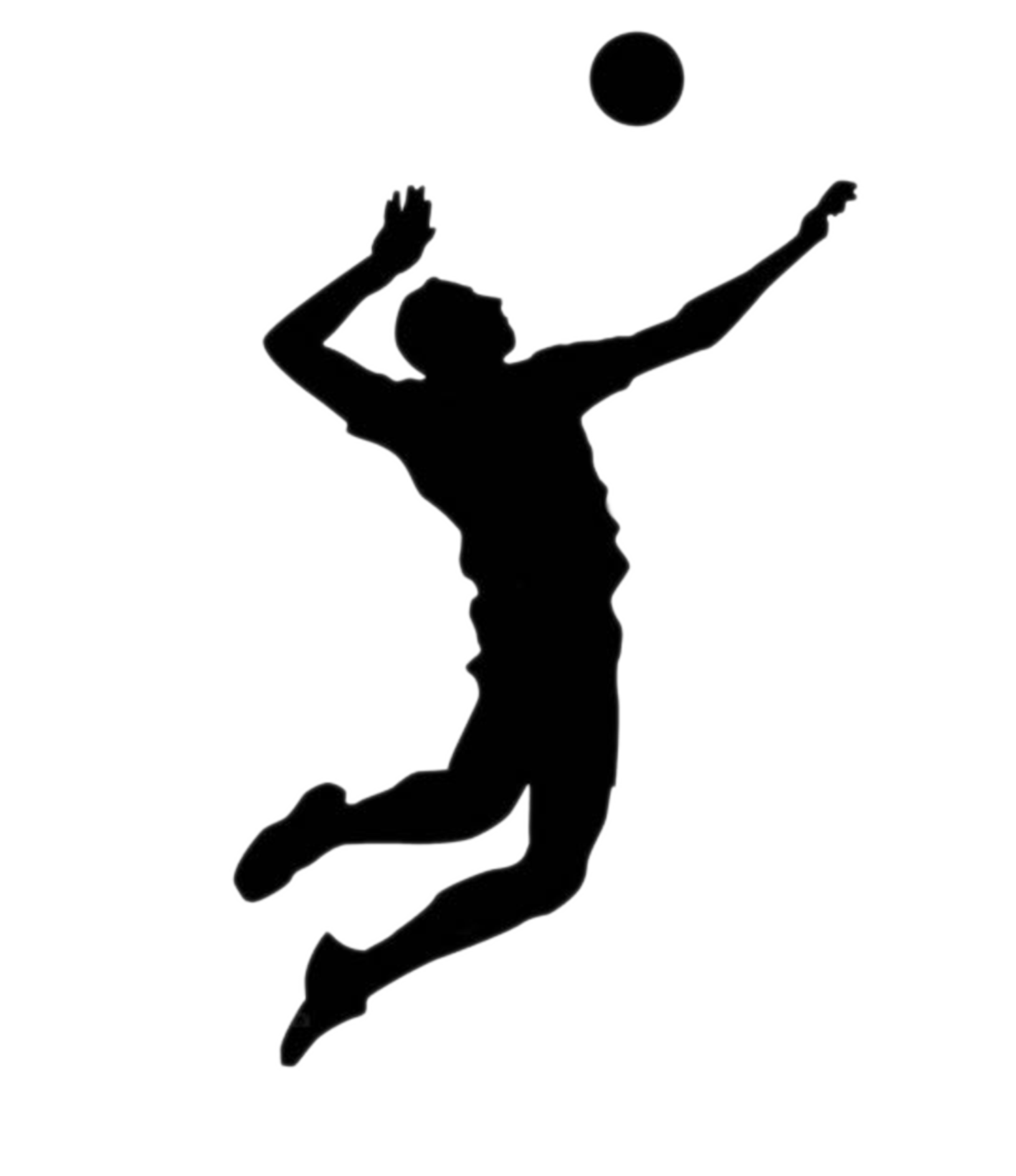 Vollyball images federation of. Volleyball clipart shape