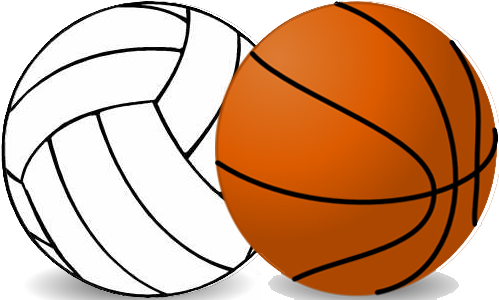 volleyball clipart basketball
