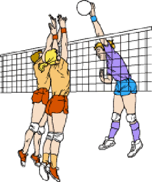 Volleyball clipart indoor volleyball. Clip art library 