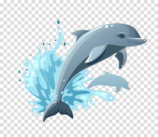Dolphin and water illustration. Dolphins clipart dophin