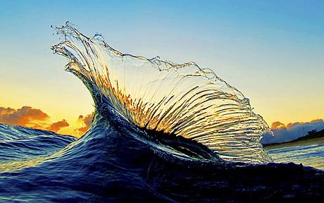 clipart wave freshwater