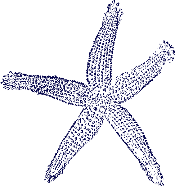 starfish clipart elegant