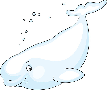 clipart whale baby beluga