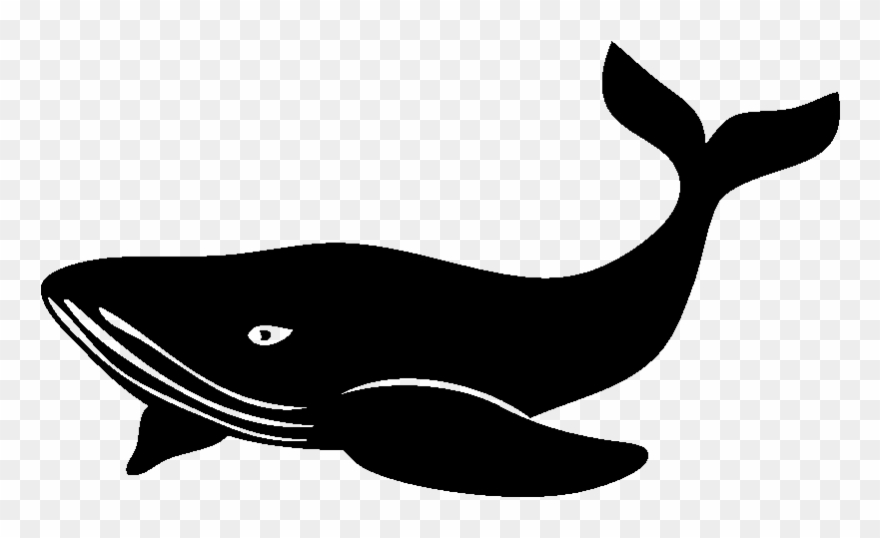 clipart whale baleine