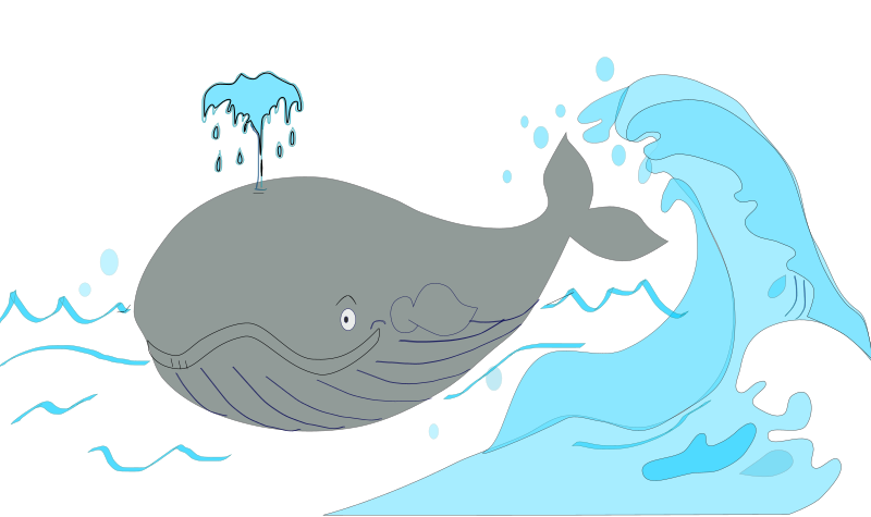clipart whale ballena