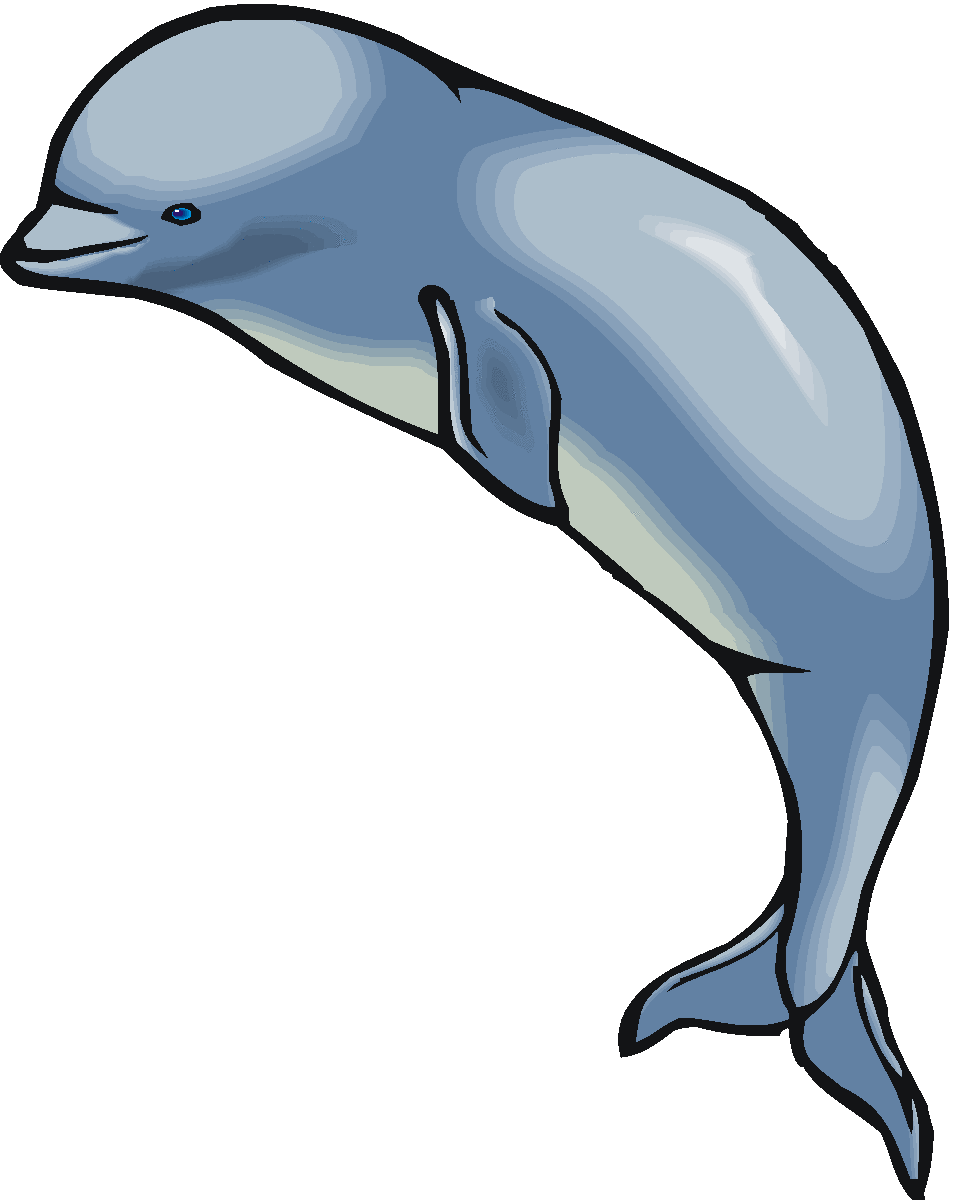 clipart whale baluga