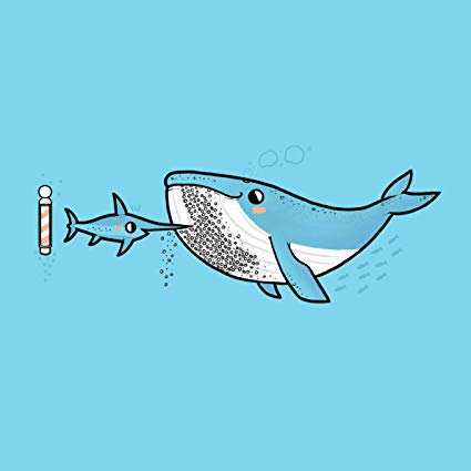 Amazon com beard funny. Clipart whale barnacle clipart