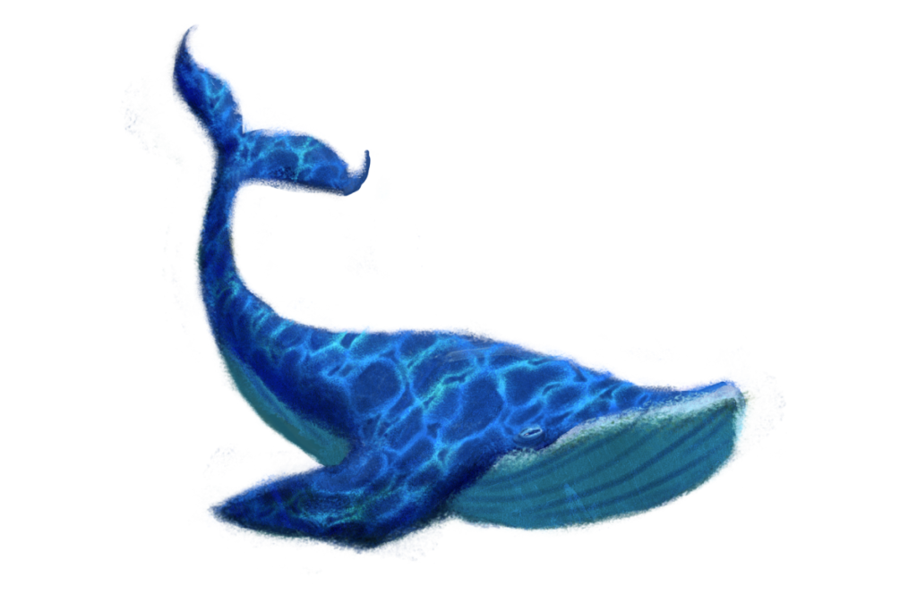 Whale blue object
