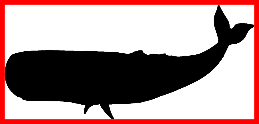 Clipart whale colouring page. Incredible humpback coloring library