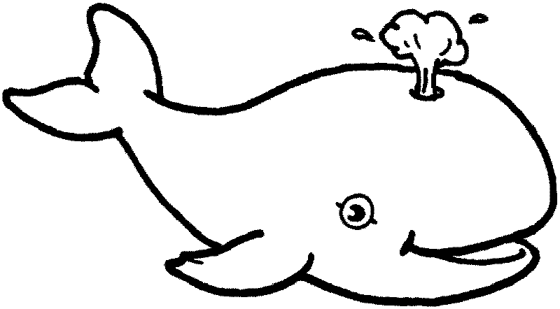 clipart whale colouring page