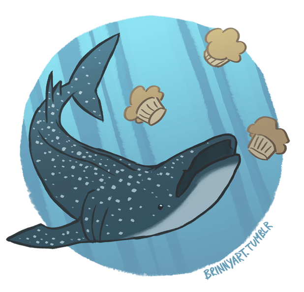 dory clipart whale shark