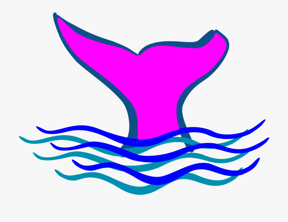clipart whale diving