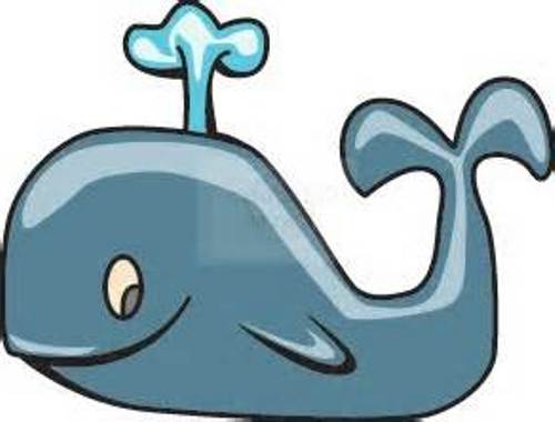 narwhal clipart kid
