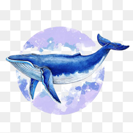 clipart whale large whale