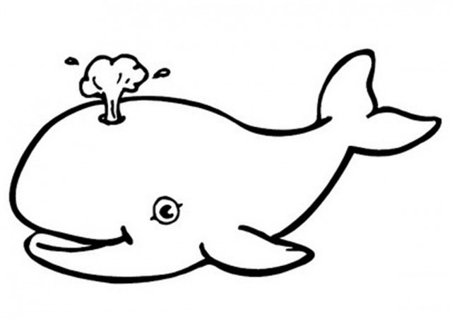 clipart whale line art