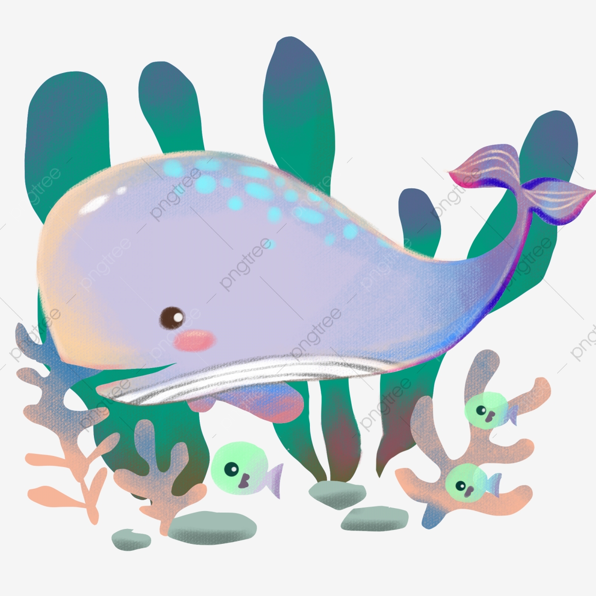 Shark big illustration . Clipart whale little